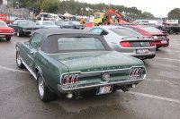 Belgian Mustang and Cougar Club