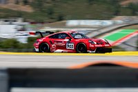 RedAnt Racing - Porsche 992 GT3 Cup