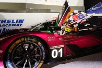 Petit Le Mans:  Chip Ganassi Racing wint zijn laatste race - Porsche kampioen